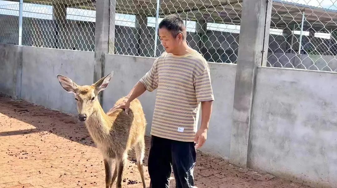 AK娱乐